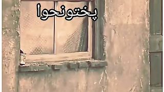 پختون دہشتگردی نہیں کرتے