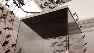Sejarah di gedung juang Bekasi
