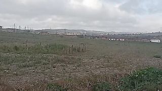 Roça