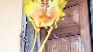 Wait for it 7