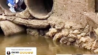 Funny ???????????????? video 3