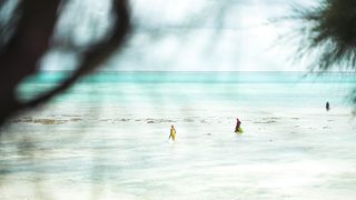 "Island Escapes: Discovering the Beauty of Remote Paradises"