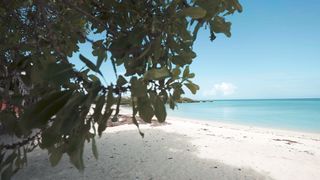 "Lost in Paradise: Unraveling the Secrets of Remote Isles"