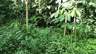 Hijaunya pepohonan di samping rumah