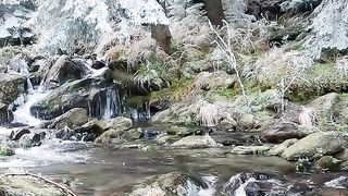 Amazing video 150