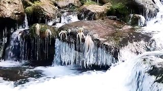 Winter video