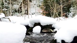 Winter Park video
