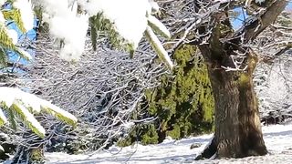 Amazing video 151
