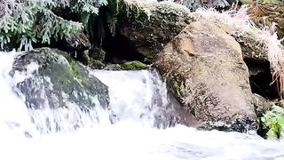 Amazing natural video 2