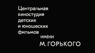 Инспектор гаи