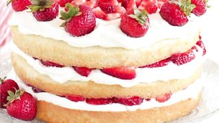 Strawberry Shortcake