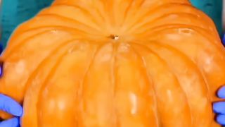Information videoانفارمیشن 2
