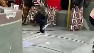 Funny videos 440