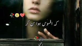 Entertainment vedio 2