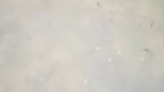 Resiko kolam TERTUTUP, ikan bergerak lambat, air kolam berwarna cokelat, suhu air dingin, ikan pucat