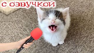 ты-смеешься-ты-перезапускаешь_170.