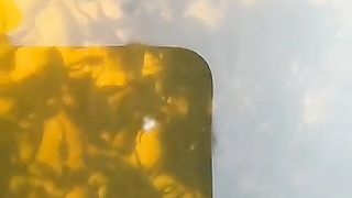 Larva lele yang normal, setelah disortir itu sehat, gesit, dan betah didasar kolam