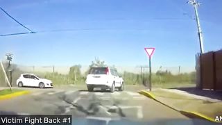 Car Jacking Fail . Instant Karma . Victim Fight Back