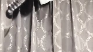 compilation les plus drôles de chats