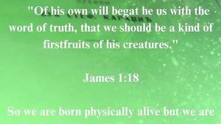 The Gospel according to John 28