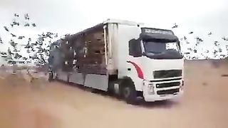 video amazing 2