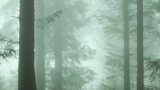 Video cinematic 2