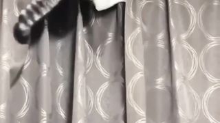 funny animals, pets, cats & dogs