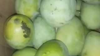sweet fragrant mango