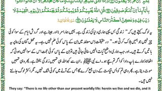 اسلامی معلومات 824