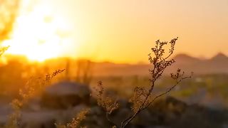 Relaxing Piano Music| relaxing music for sleep