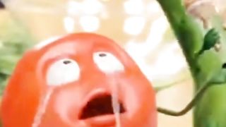 Pamidor