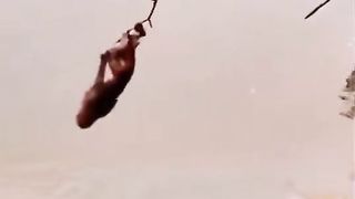 Skillfull monkey