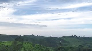 Video wonderfull
