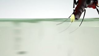 Life Cycle of A #Mosquito __ #Shorts