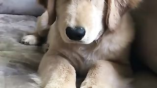 Hilarious 24