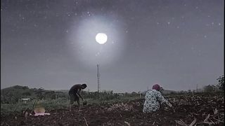 night Nature
