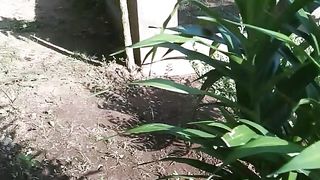 Makam Nenek , Kakek dan Ayah