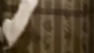 funny cat videos - part 4