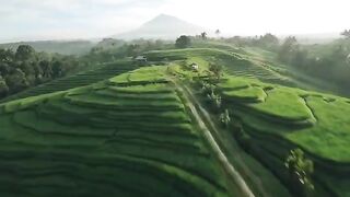 Wonderful bali indonesia