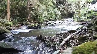 Música pra relaxar