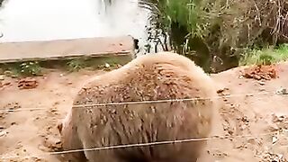 Наблюдательный пункт