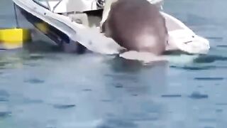 Эх,покатаюсь