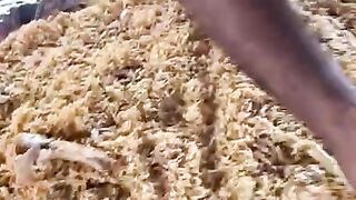 CHICKEN BIRYANI Vs MUTTON BIRYANI EATING