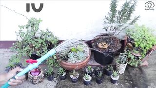 PVC pipes: 10 awesome ideas. Amazing PVC life hacks and uses for plastic pipes.
