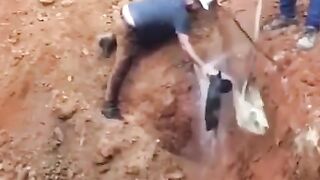 A OBRA VAI DEMORAR SÓ UM POUQUINHO!