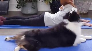 Yoga partner