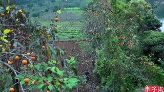 It’s a red mountain, and in the fall, it’s natural to make some sweet persimmons.