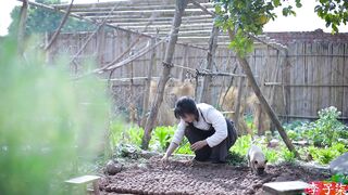 I make garden watermelon and grape