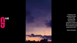 Video hài hước triệu view,không xem khi đang ăn????????????????