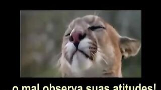 O mal observa suas atitudes